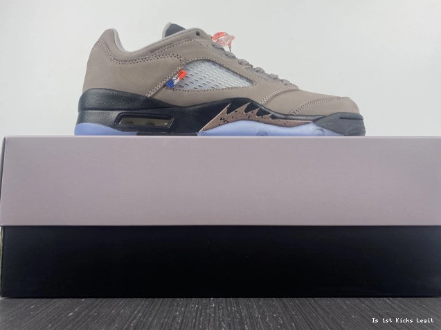 x Jordan Low 5 PSG DX6325-204 Air 0823